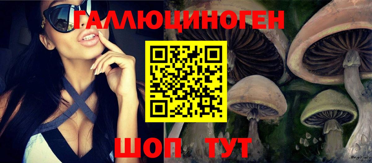 Псилоцибиновые грибы MAGIC MUSHROOMS Малгобек