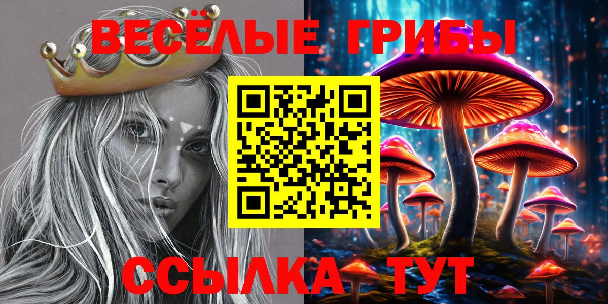 Галлюциногенные грибы GOLDEN TEACHER  Вход с VPN  Малгобек  Галлюциногенные грибы ЛСД 